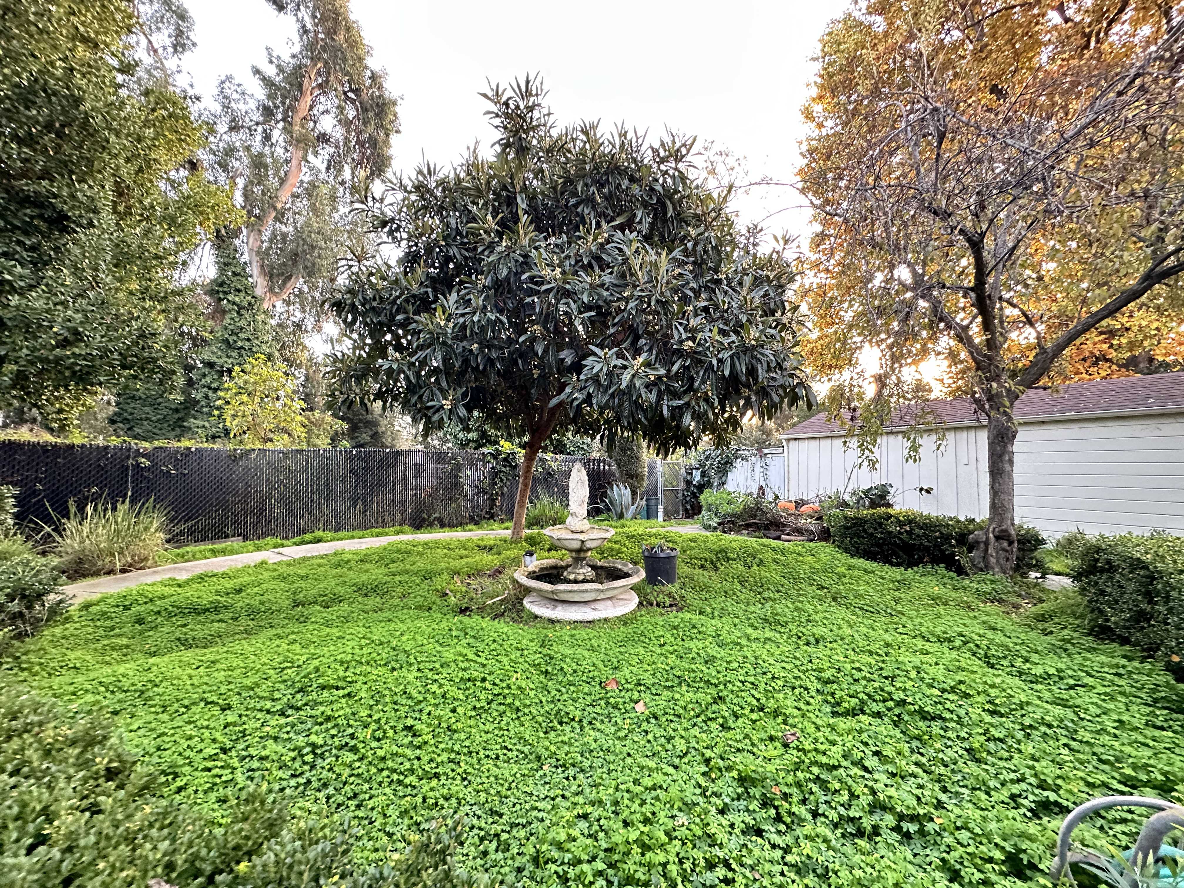 Garden photo 3
