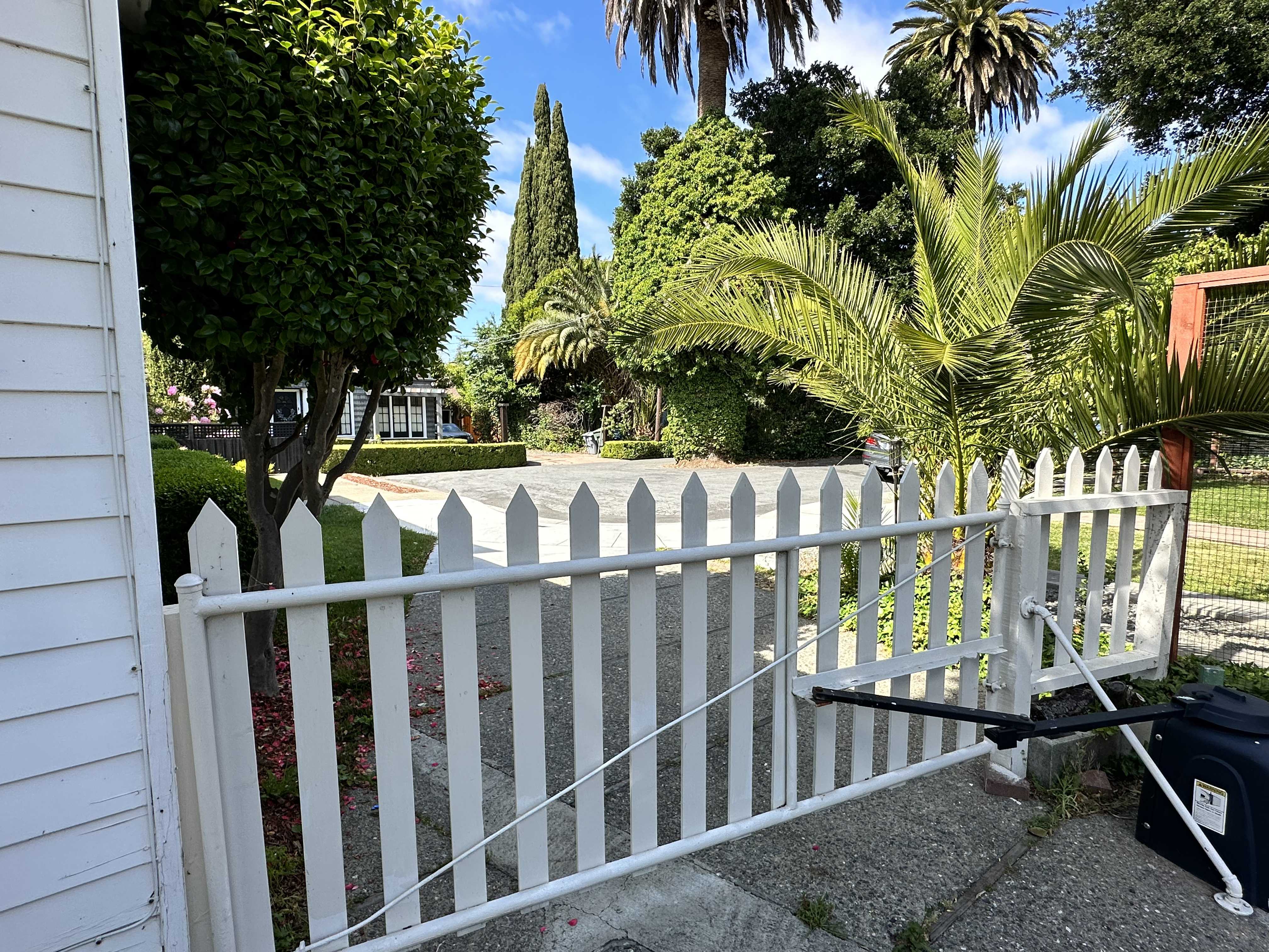 Garden photo 13